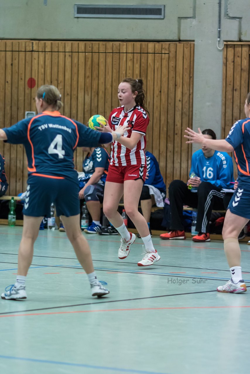 Bild 316 - Frauen Bramstedter TS - TSV Wattenbek 2 : Ergebnis: 20:24